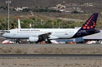Alfonso Sols - Asociacin Canary Islands Spotting. Click to see full size photo