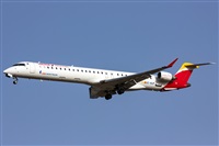 Cndida Hidalgo - Gran Canaria Spotters. Click to see full size photo