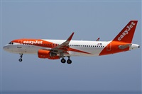 Alfonso Sols - Asociacin Canary Islands Spotting. Haz click para ampliar