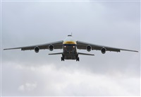 ©Alejandro H.L - Gran Canaria Spotters. Click to see full size photo ©Alejandro H.L - Gran Canaria Spotters. Click to see full size photo