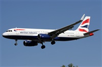 Alfonso Sols - Asociacin Canary Islands Spotting. Click to see full size photo