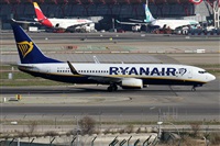 ©Alfonso Solís - Asociación Canary Islands Spotting. Click to see full size photo ©Alfonso Solís - Asociación Canary Islands Spotting. Click to see full size photo