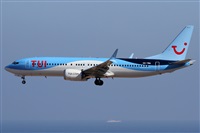©Alfonso Solís - Asociación Canary Islands Spotting. Click to see full size photo ©Alfonso Solís - Asociación Canary Islands Spotting. Click to see full size photo