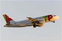 Nacho Rodriguez - Canary Islands Spotting. Haz click para ampliar