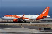 Alfonso Sols - Asociacin Canary Islands Spotting. Click to see full size photo