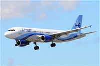 Miguel A. gueda Rguez.  (CANARY ISLANDS SPOTTING). Click to see full size photo