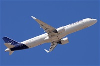 Miguel A. gueda Rguez.  (CANARY ISLANDS SPOTTING). Click to see full size photo