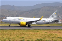 Miguel A. gueda Rguez.  (CANARY ISLANDS SPOTTING). Click to see full size photo