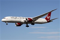 Alfonso Sols - Asociacin Canary Islands Spotting. Click to see full size photo