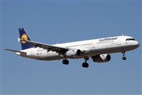 Alfonso Sols - Asociacin Canary Islands Spotting. Haz click para ampliar