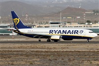 Alfonso Sols - Asociacin Canary Islands Spotting. Click to see full size photo