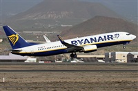 ©Alfonso Solís - Asociación Canary Islands Spotting. Click to see full size photo ©Alfonso Solís - Asociación Canary Islands Spotting. Click to see full size photo