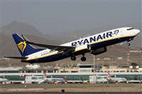 Alfonso Sols - Asociacin Canary Islands Spotting. Click to see full size photo