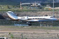 Miguel A. gueda Rguez.  (CANARY ISLANDS SPOTTING). Click to see full size photo