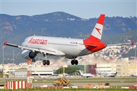 Miguel A. gueda Rguez.  (CANARY ISLANDS SPOTTING). Click to see full size photo