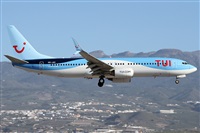 Alfonso Sols - Asociacin Canary Islands Spotting. Click to see full size photo