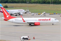 Miguel A. gueda Rguez.  (CANARY ISLANDS SPOTTING). Click to see full size photo