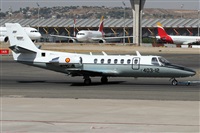 Alfonso Sols - Asociacin Canary Islands Spotting. Haz click para ampliar