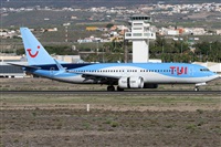©Alfonso Solís - Asociación Canary Islands Spotting. Click to see full size photo ©Alfonso Solís - Asociación Canary Islands Spotting. Click to see full size photo
