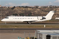 ©Alfonso Solís - Asociación Canary Islands Spotting. Click to see full size photo ©Alfonso Solís - Asociación Canary Islands Spotting. Click to see full size photo