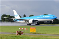 Miguel A. gueda Rguez.  (CANARY ISLANDS SPOTTING). Haz click para ampliar