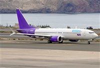 ©Alejandro H.L - Gran Canaria Spotters. Click to see full size photo ©Alejandro H.L - Gran Canaria Spotters. Click to see full size photo