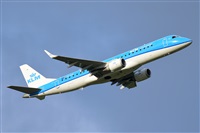 Miguel A. gueda Rguez.  (CANARY ISLANDS SPOTTING). Click to see full size photo