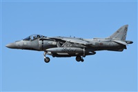 Xisco Bestard. Click to see full-size photo