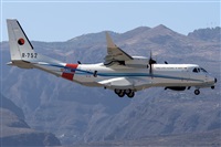 Adolfo Bento - Gran Canaria Spotters. Click to see full size photo