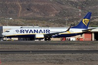 Alfonso Sols - Asociacin Canary Islands Spotting. Click to see full size photo
