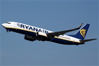 �Daniel Schwinn. Click to see full size photo