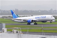 �Miguel A. �gueda Rguez.  (CANARY ISLANDS SPOTTING). Click to see full size photo