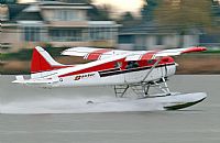 ©Melvin Pereira - Iberian Spotter. Click to see full size photo ©Melvin Pereira - Iberian Spotter. Click to see full size photo