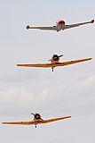 Miguel A. Snchez. Click to see full size photo