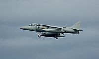 Adrin Chapela Cordeiro - Gallaecia Spotters. Click to see full size photo