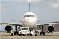 Javier de la Cruz - CANARY ISLANDS SPOTTING. Click to see full size photo
