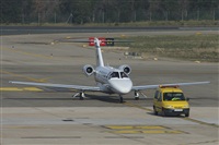Jos Miguel Bernases - Noisy Spotters. Click to see full size photo