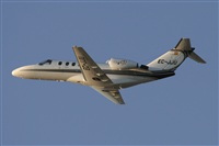 Jos Miguel Bernases - Noisy Spotters. Click to see full size photo