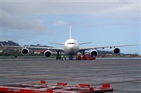 Ayoze Santana Mendez - Canary Islands Spotting. Click to see full size photo