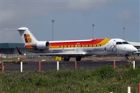 Ayoze Santana Mendez - Canary Islands Spotting. Click to see full size photo