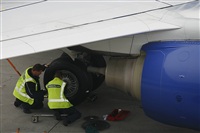 Cele - Spotters BCN. Click to see full size photo