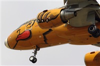 Adolfmalet-Spotters Barcelona-El Prat. Click to see full size photo
