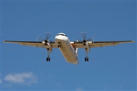 ©José Miguel Bernases - Noisy Spotters. Click to see full size photo ©José Miguel Bernases - Noisy Spotters. Click to see full size photo
