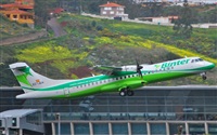 Alejandro Bethencourt (Canary Islands Spotting). Click to see full size photo