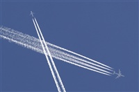 Jos Miguel Bernases - Noisy Spotters. Click to see full size photo