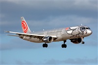 Miguel A. gueda Rguez.  (CANARY ISLANDS SPOTTING). Click to see full size photo