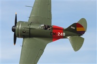 Javier G.M.. Click to see full size photo