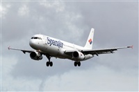 Nacho Rodriguez - Canary Islands Spotting. Click to see full size photo
