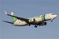 ©Alfonso Solís - Asociación Canary Islands Spotting. Click to see full size photo ©Alfonso Solís - Asociación Canary Islands Spotting. Click to see full size photo