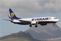 Alfonso Sols - Asociacin Canary Islands Spotting. Click to see full size photo